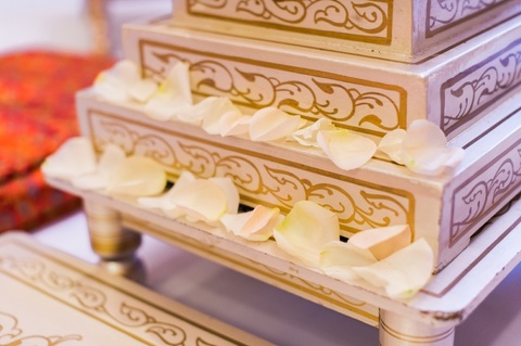 indian_wedding_charleston_photographer_marriott_2014_027