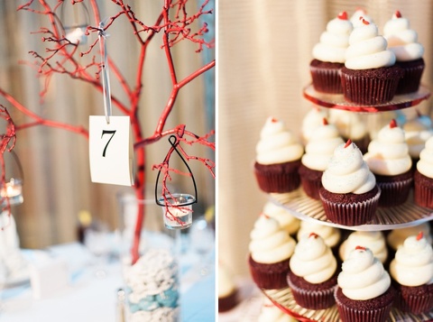 indian_wedding_charleston_photographer_marriott_2014_091