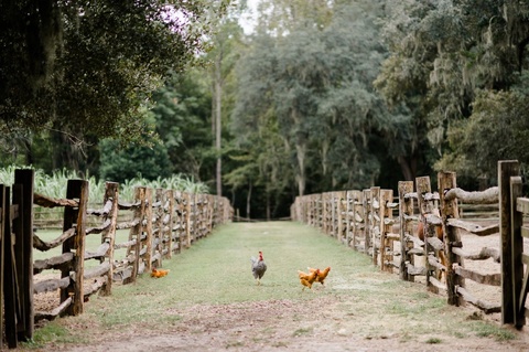 middleton_place_wedding_charleston_sc_photographer_2013_006