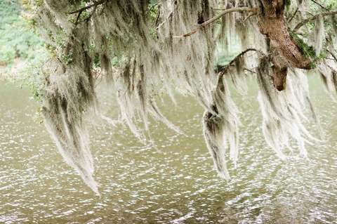 middleton_place_wedding_charleston_sc_photographer_2013_031