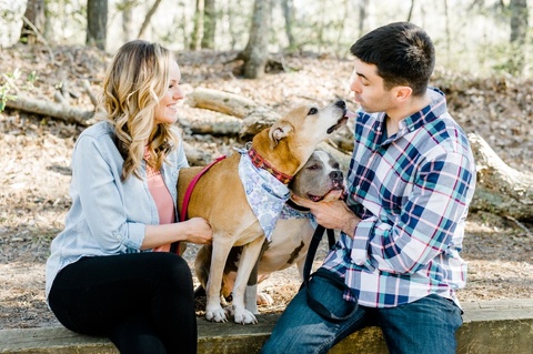engagement photos with dogs in virginia 