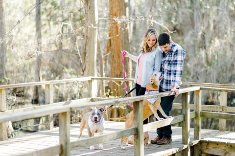 engagement photos with dogs in virginia 