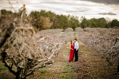 farm engagement pictures nc