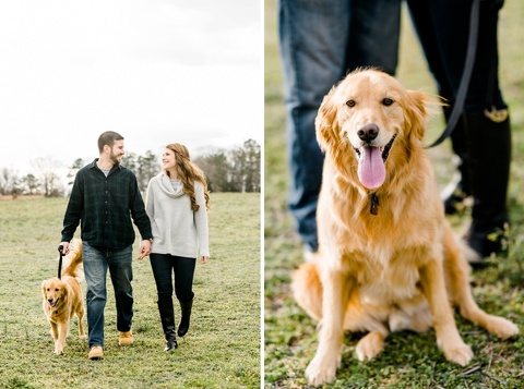 engagement photos with dogs