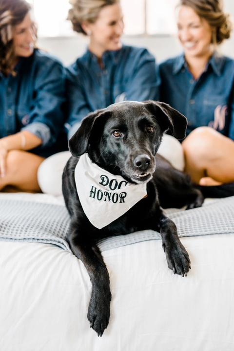 Weddings with dogs. Outdoor farm wedding in Richmond VA coordinated by Make It Posh Events. Photo by Caroline Lima.
